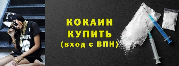 эйфоретик Гусь-Хрустальный