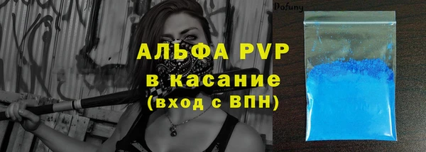 эйфоретик Гусь-Хрустальный