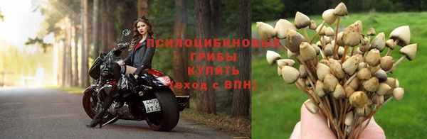 метадон Гусиноозёрск