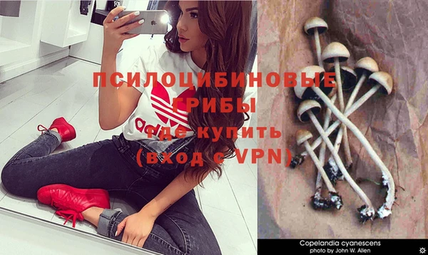 метадон Гусиноозёрск