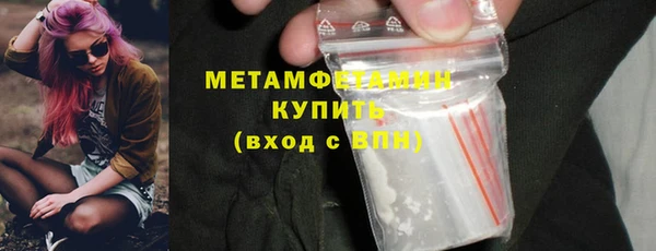 эйфоретик Гусь-Хрустальный