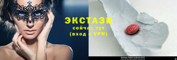 эйфоретик Гусь-Хрустальный