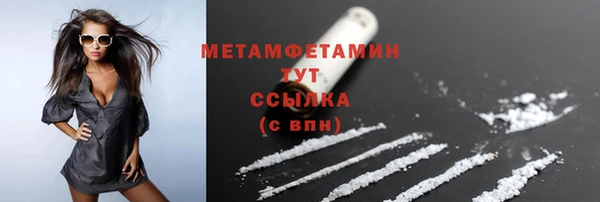 эйфоретик Гусь-Хрустальный