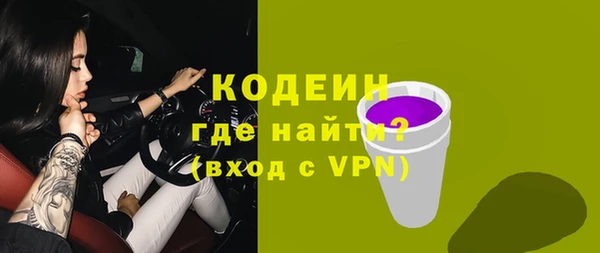 эйфоретик Гусь-Хрустальный