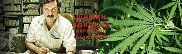 эйфоретик Гусь-Хрустальный