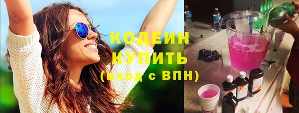эйфоретик Гусь-Хрустальный