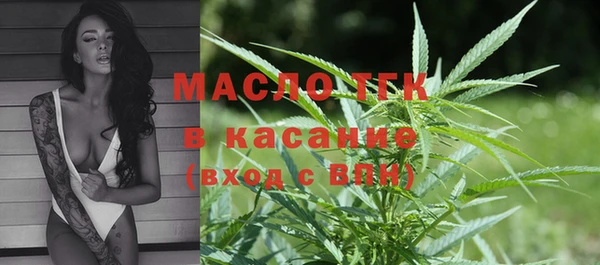 эйфоретик Гусь-Хрустальный