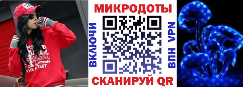 Купить  Челябинск  Галлюциногенные грибы Psilocybe 